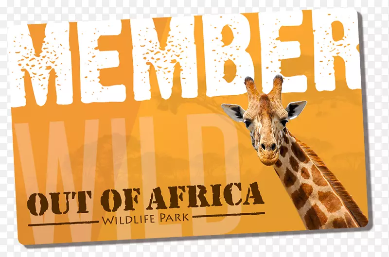 长颈鹿动物园字体品牌印刷-长颈鹿