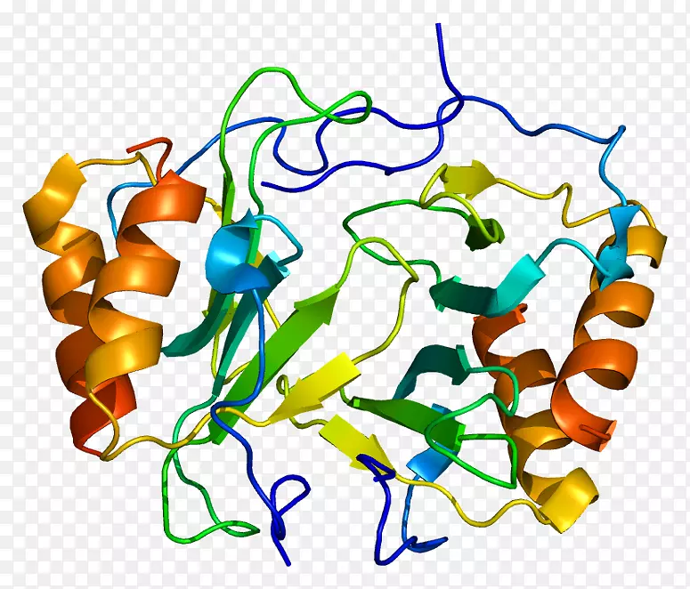 血小板因子4趋化因子β-凝血球蛋白