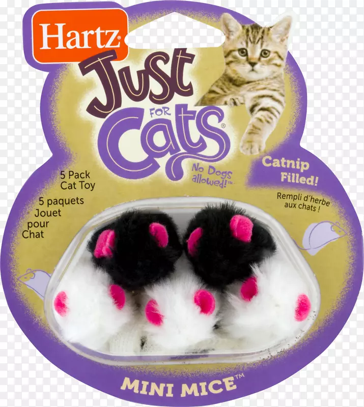 哈茨在玩去鱼猫玩具哈茨只为猫疯狂猫玩具猫