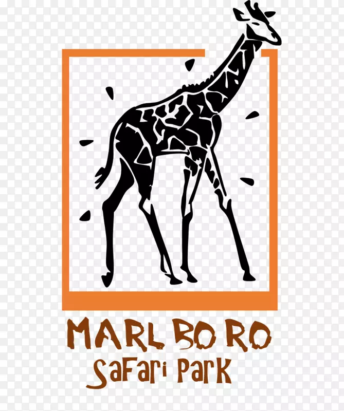 长颈鹿野生动物园动物剪贴画长颈鹿