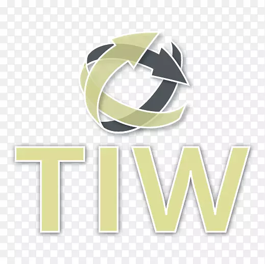 TIW集团有限公司案例研究品牌