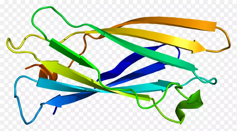 ap1g1 clathrin蛋白ap1b1基因-黑色素体