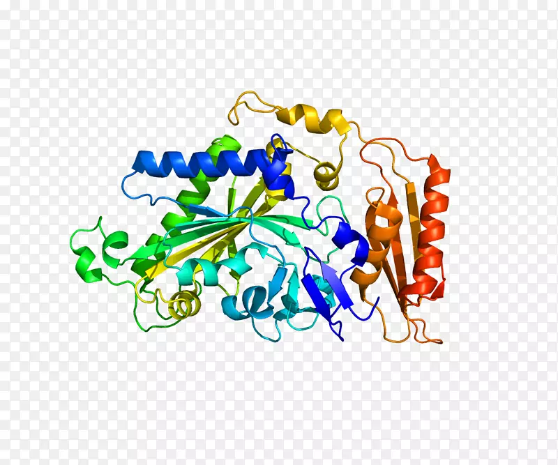 蛋白质转移RNA基因剪裁27