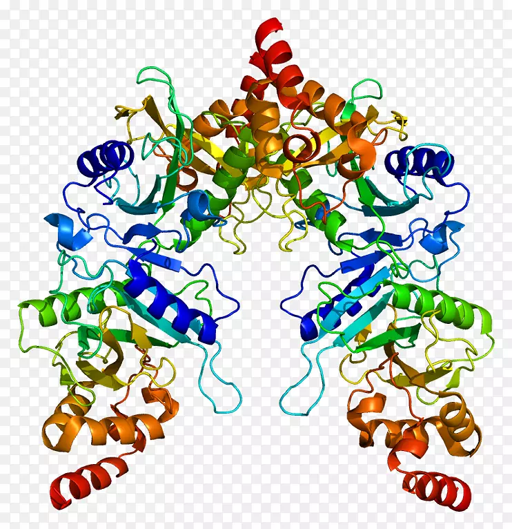 丝状蛋白胶质细胞3丙氨酸转氨酶刺猬信号通路微信表达19 0 1