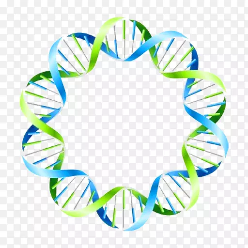家谱DNA测试图形。圆圈