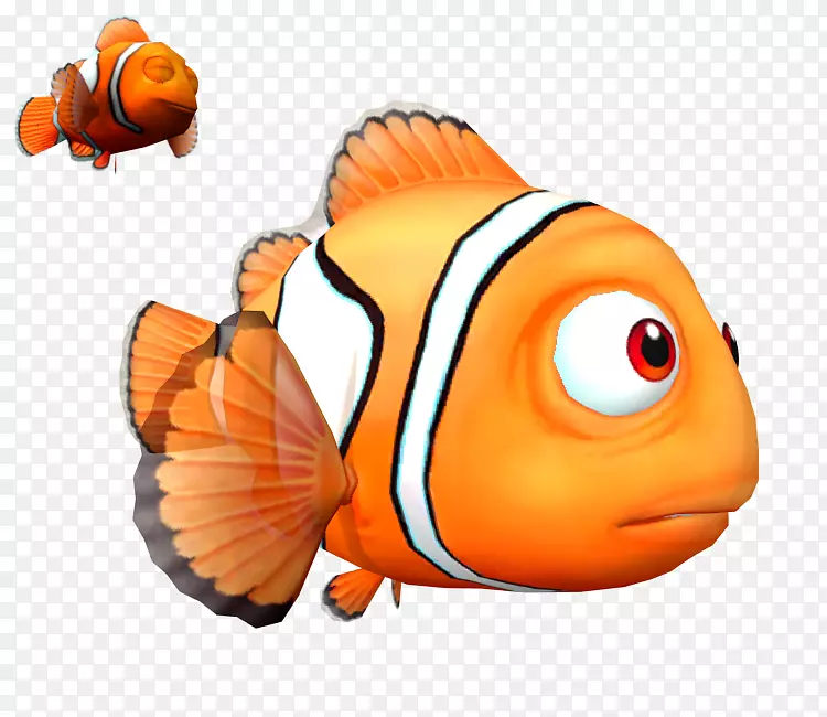 剪贴画海洋生物，鱼类橙色S.A。
