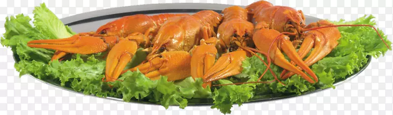 小龙虾为食蟹啤酒龙虾素食-螃蟹