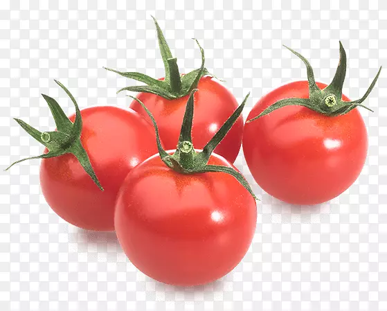 李子番茄食物灌木番茄素食料理-番茄和辣椒
