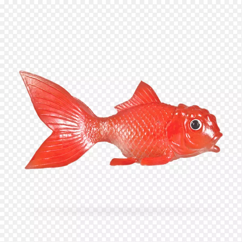 北红笛鲷，金鱼红。m-弗里堡
