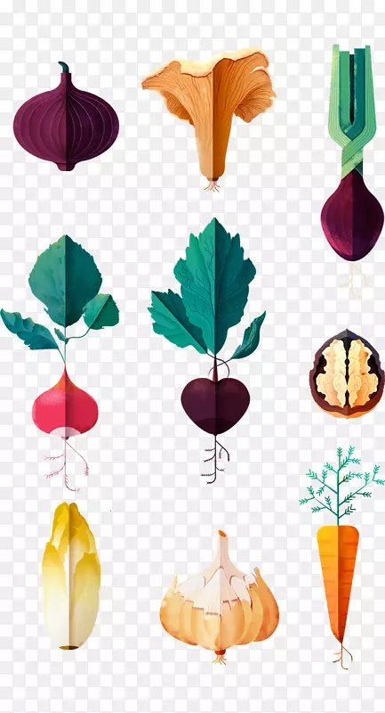 插画蔬菜插画艺术-蔬菜