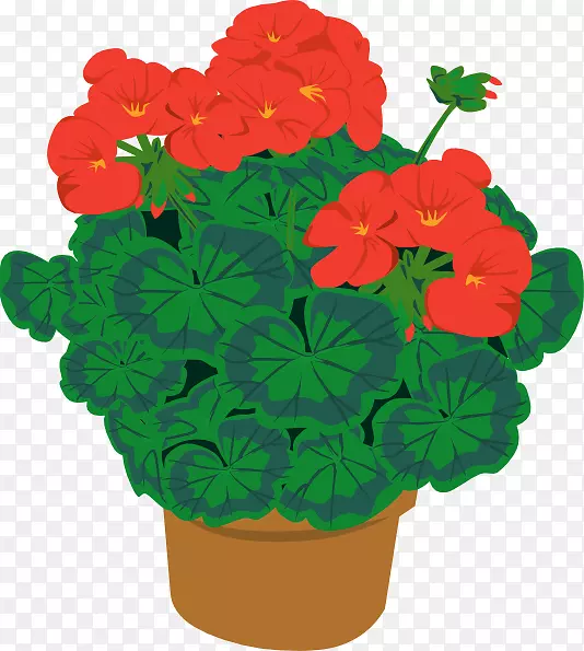 剪贴画：运输花盆植物，室内植物开放部分-天竺葵