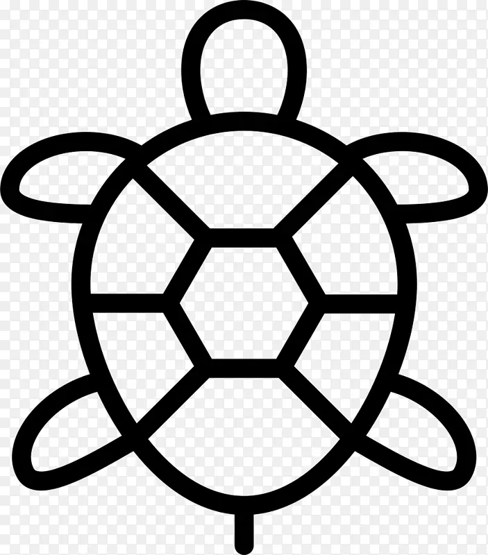 海龟图形爬行动物计算机图标png图片海龟