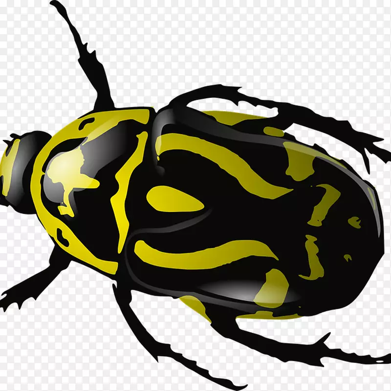 犀牛甲虫剪贴画图形png图片甲虫