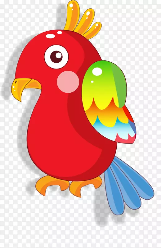 鹦鹉鸟夹艺术公鸡插图-每周作业