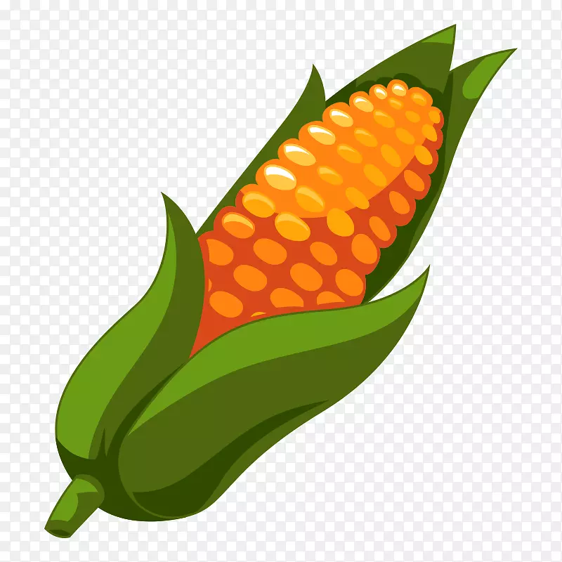 玉米上的玉米芯图形图像剪贴画玉米穗