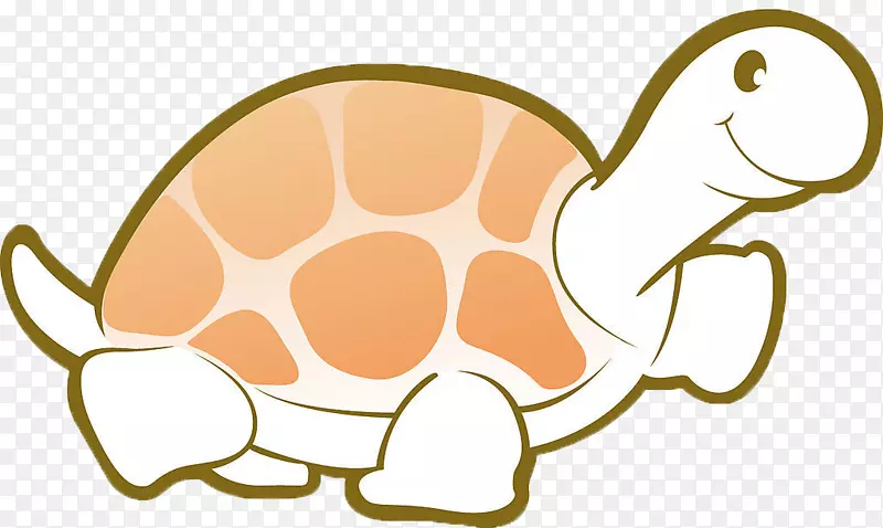 龟图形图像龟仔龟