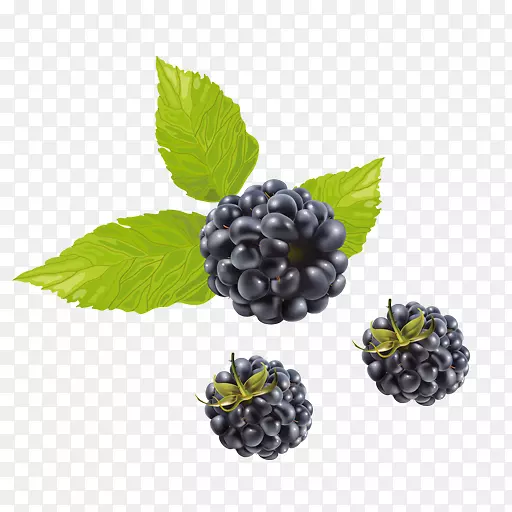 蓝莓茶覆盆子图.果实