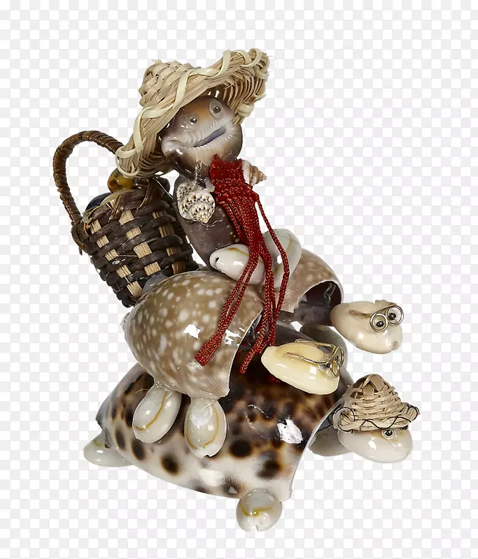 海贝壳动物雕像珠宝收藏-贝壳