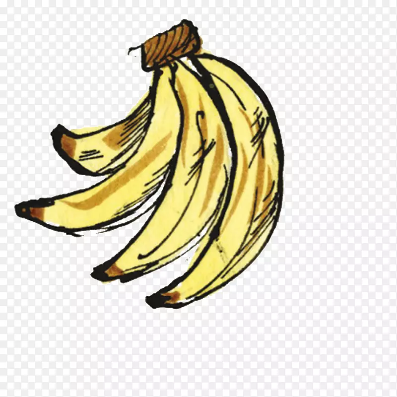 香蕉插画艺术商品食肉动物-香蕉