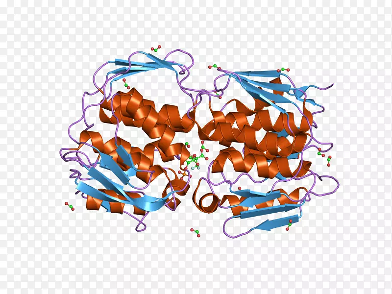 epsp合酶副磷酸合酶转移酶草甘膦。大肠杆菌