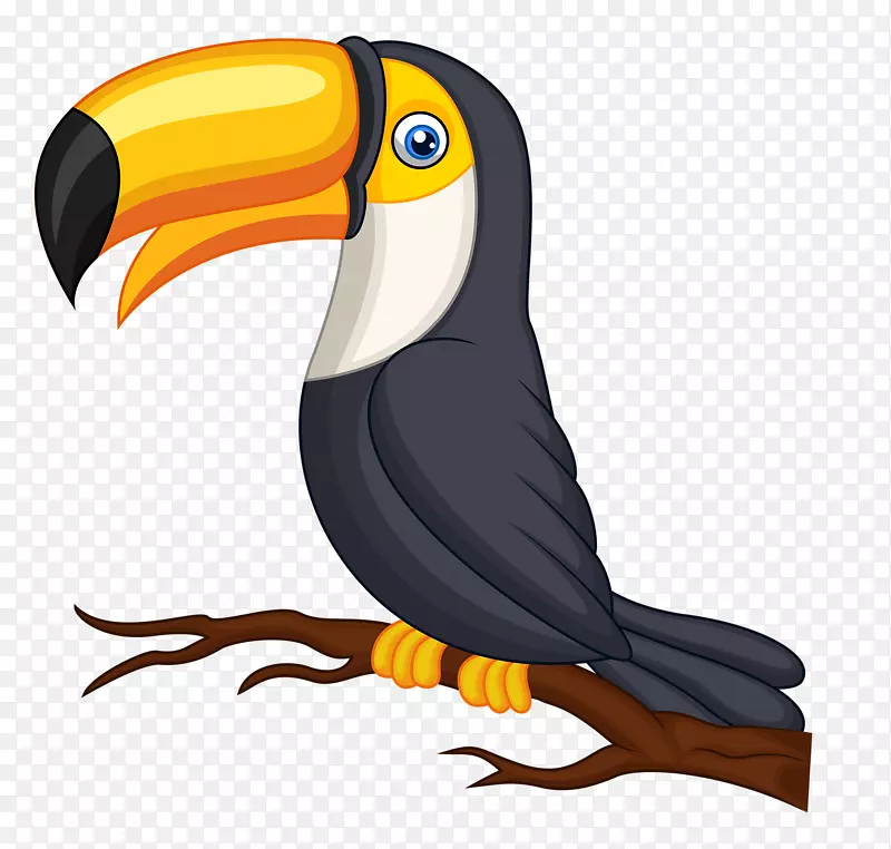 鸟鹦鹉图科图卡夹艺术鸟