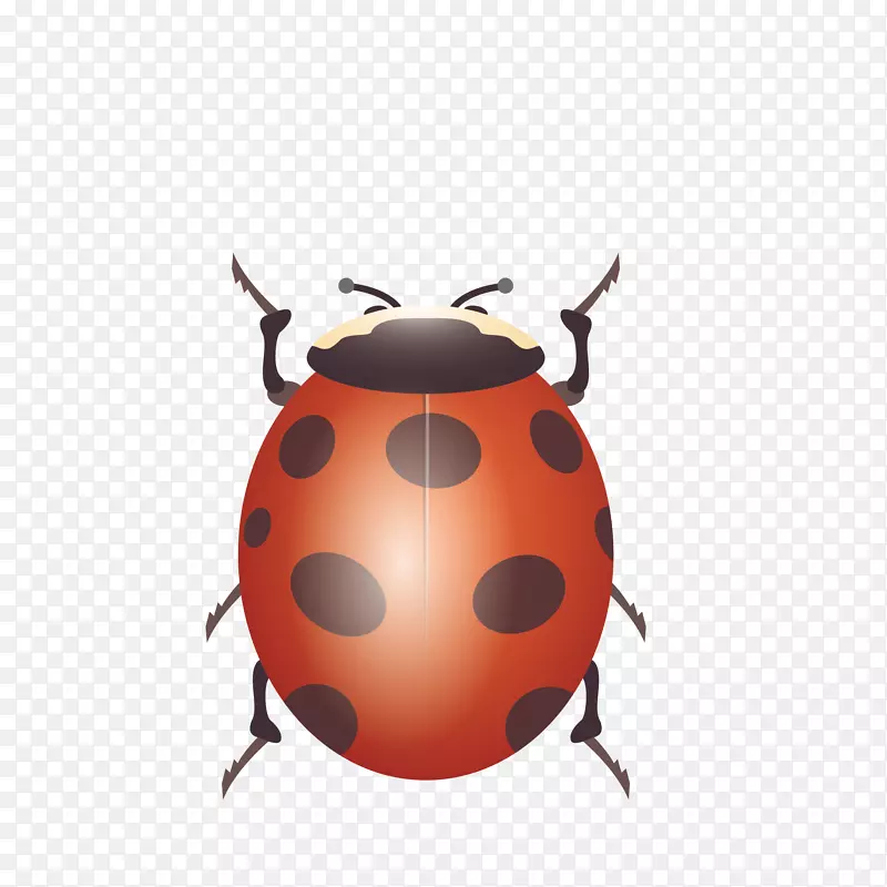 瓢虫蝴蝶图片蚂蚁-粉红瓢虫