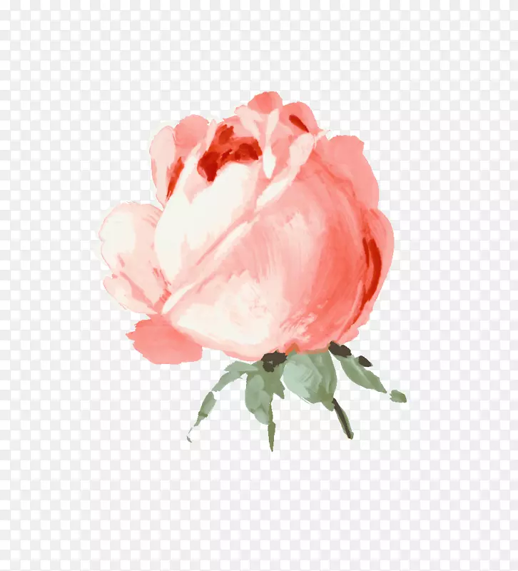 png图片花园玫瑰静物：粉色玫瑰剪辑艺术-可爱的花
