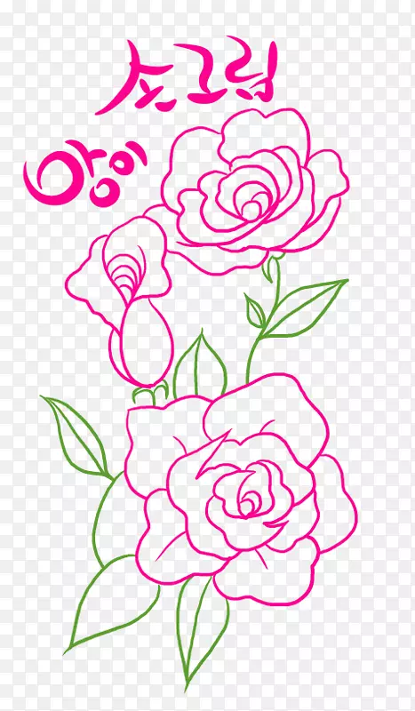 花卉设计花园玫瑰插图/m/02csf-花瓣