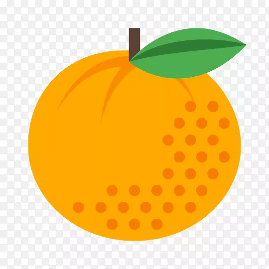 橙汁电脑图标8-橙色