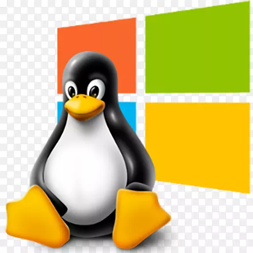 Linux分发计算机服务器ubuntu虚拟专用服务器-linux