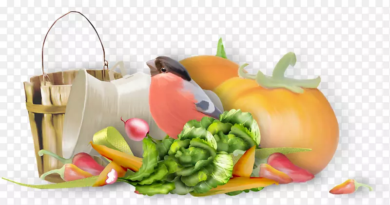 蔬菜中心食物水果素食菜-透明秋叶