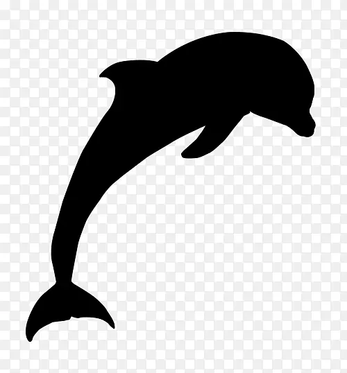 图库溪普通宽吻海豚海狮剪贴画