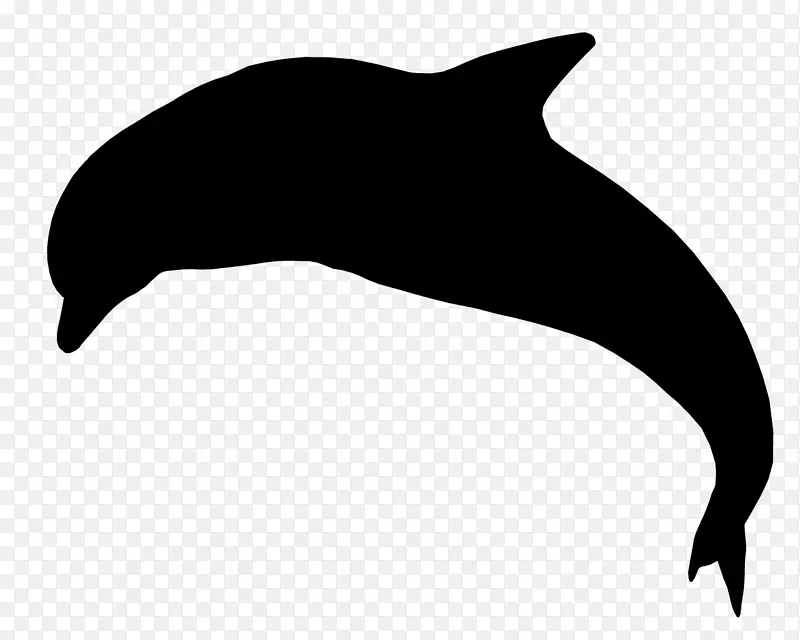海豚海狮海豚剪贴画