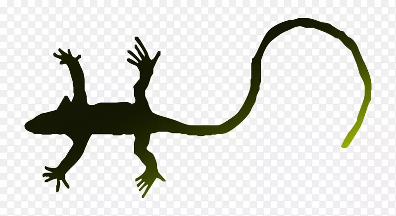 壁虎青蛙蜥蜴陆生动物恐龙