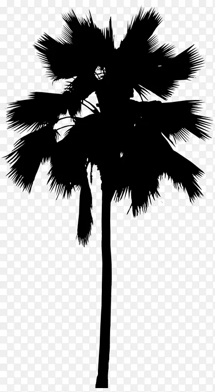 亚洲棕榈树叶线轮廓