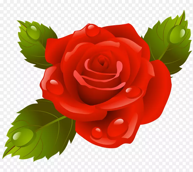 花园玫瑰，png图片，图像，花卉图片，绘画.绘画
