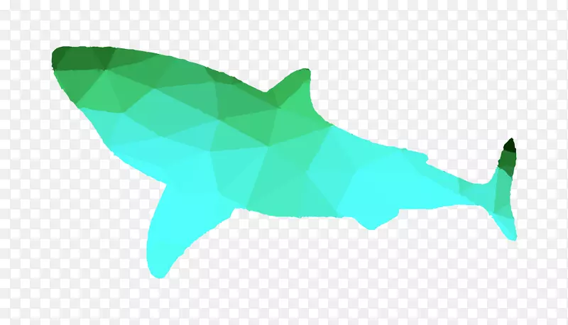 安魂利鲨鱼海豚动物群