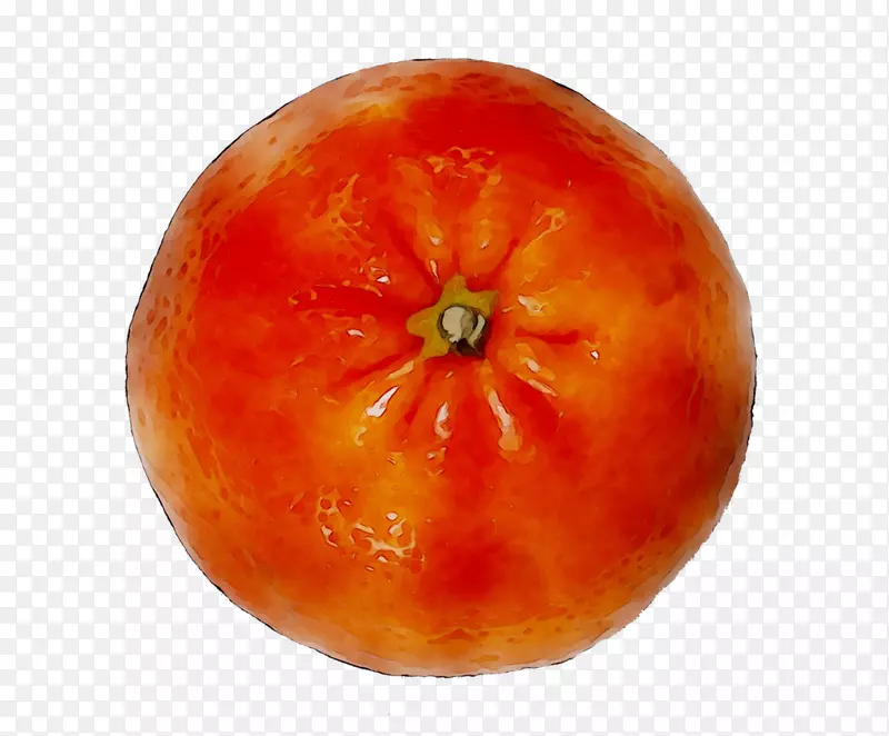 李子番茄素食料理冬季南瓜