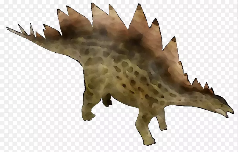 恐龙动物陆生动物鼻子