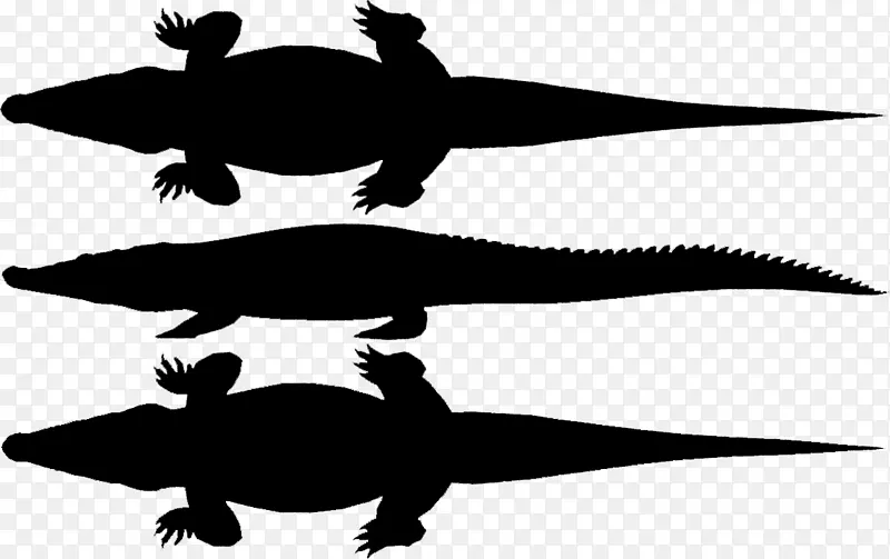 海龟两栖动物剪贴画动物轮廓