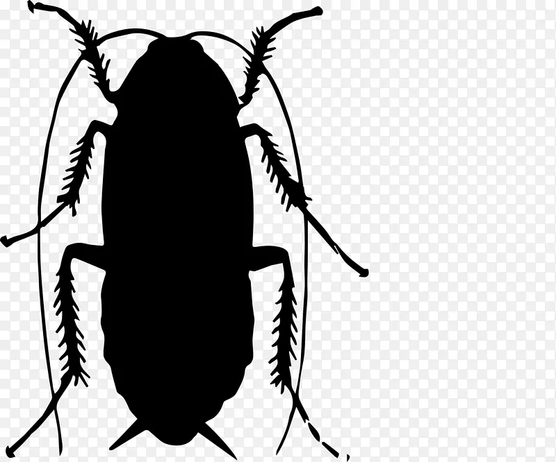 害虫蟑螂苍蝇可伸缩图形