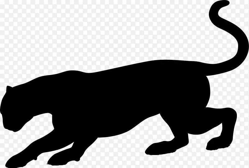 猫狮陆地动物剪贴画动物