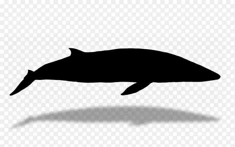 图库溪海豚动物群轮廓