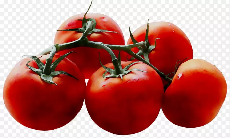 李子番茄灌木丛番茄超级食品