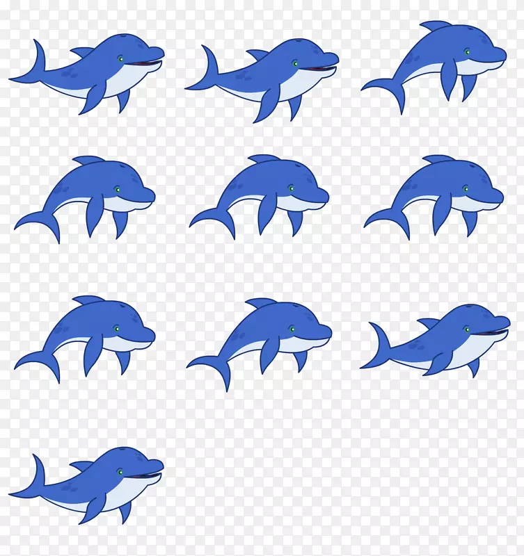 普通宽吻海豚海洋生物海豚