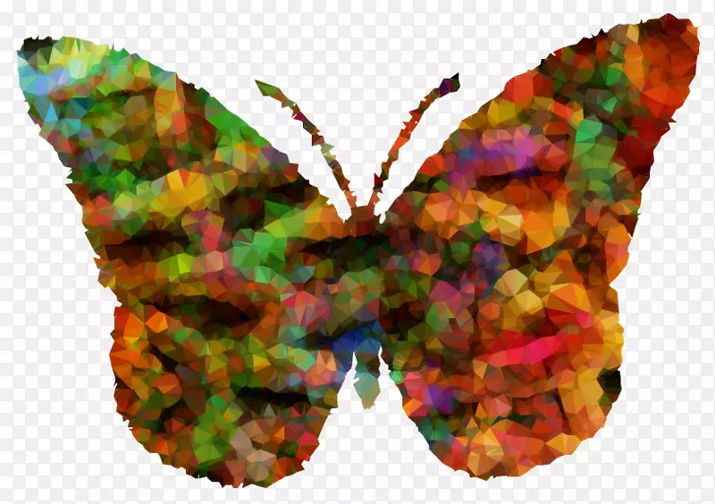 毛茸茸的蝴蝶蛾对称m。蝴蝶叶