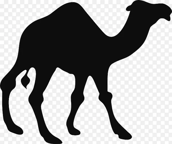 骆驼图形剪贴画剪影-骆驼