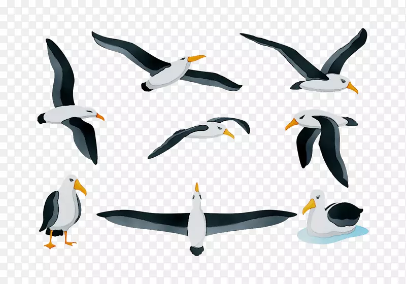 企鹅海鸟产品设计动物群