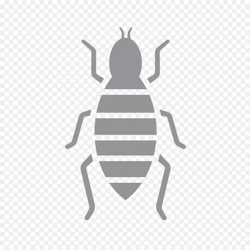 标识昆虫字体产品图案-昆虫