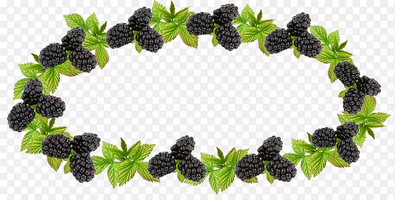 浆果黑莓图像png图片果酱浆果